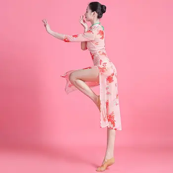 2023 klasik dans cheongsam streç gazlı bez baskılı çin dans eğitimi elbise ulusal dans kostümü uzun cheongsam g775