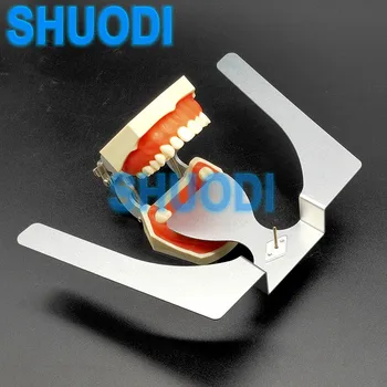 3D tipi Diş Ortodonti Oklüzal Maksiller Döküm Çene Tilki Düzlem Plaka Komple Protez diş beyazlatma için
